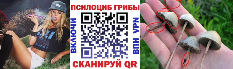 Галлюциногенные грибы мухоморы  наркошоп  Апатиты 