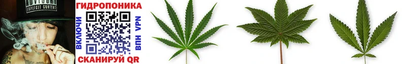 гидра онион  купить наркотик  Апатиты  Канабис SATIVA & INDICA 